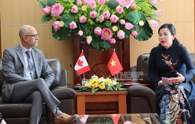 canada promotes cooperation, investment in thai nguyen picture 1