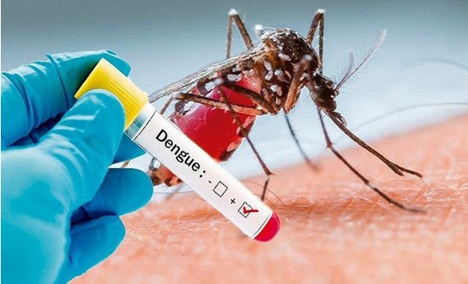 vietnam reports 26 dengue deaths picture 1