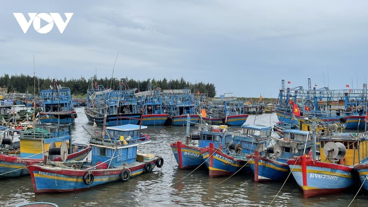 ec inspectors to work with ba ria - vung tau on combating iuu fishing picture 1