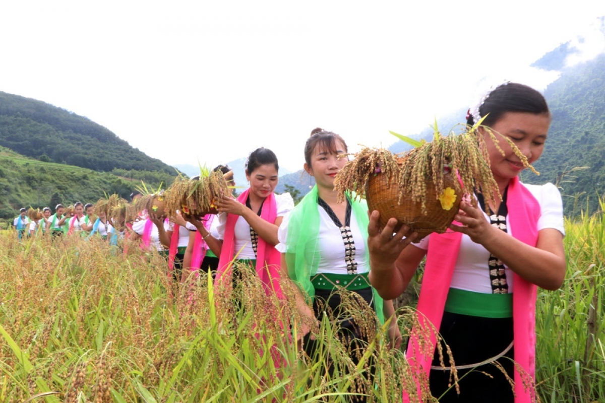 white thai ethnic people celebrate young rice festival picture 3