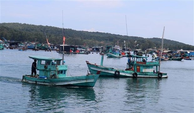 iuu combat changes seen in fishermen s awareness of sustainable fisheries picture 1