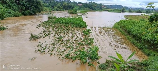 four died, one missing due to heavy rain, floods in northern provinces picture 1