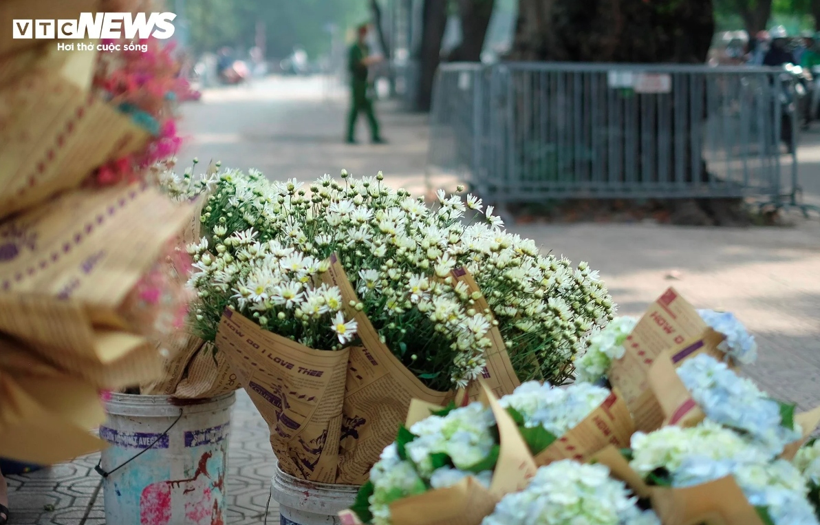 hanoi streets dotted with daisies as winter approaches picture 10