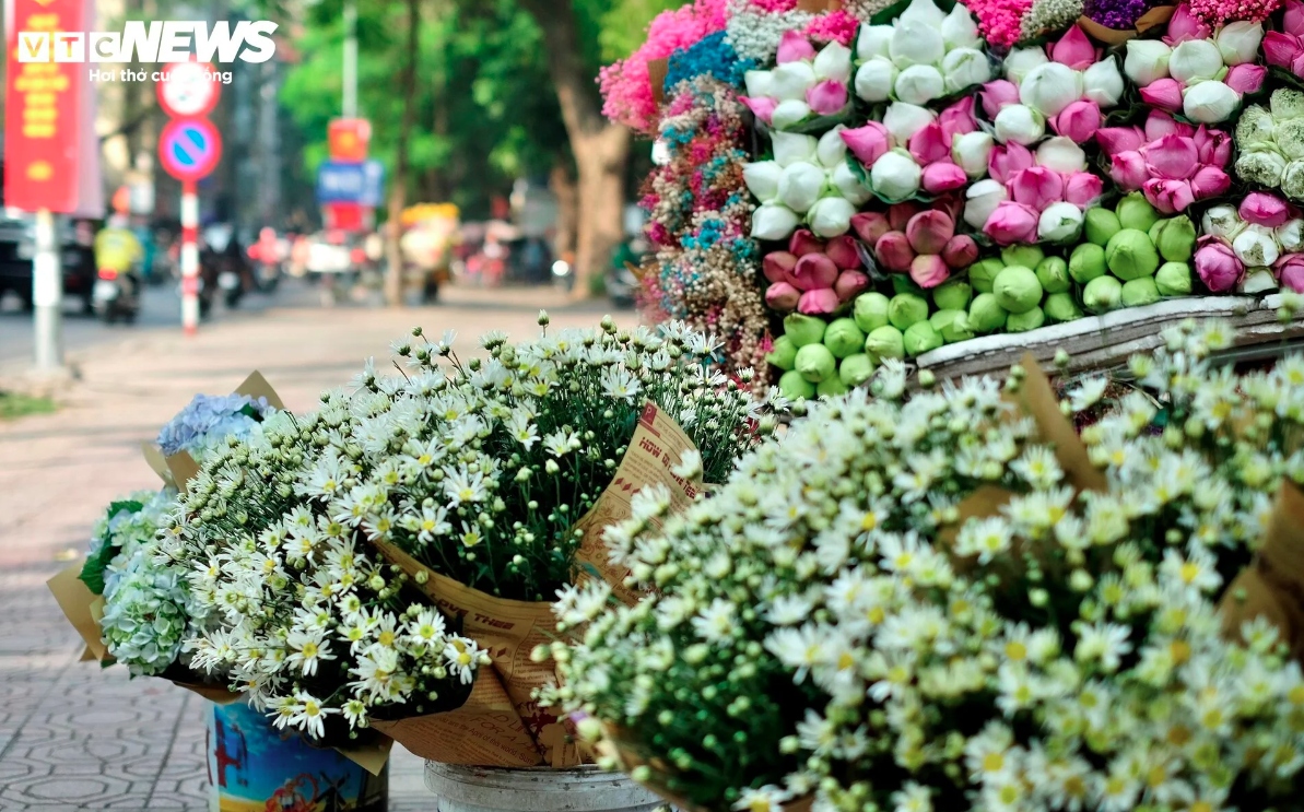 hanoi streets dotted with daisies as winter approaches picture 9