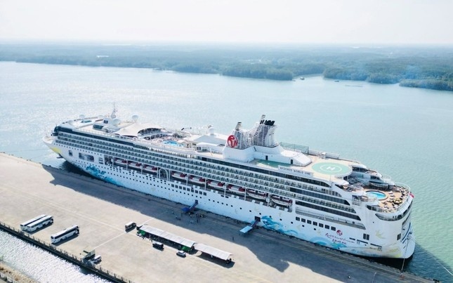 resorts world one cruise ship brings 1,500 foreign visitors to nha trang picture 1