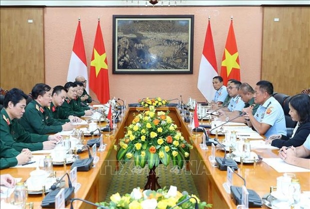 vietnam, indonesia hold third defence policy dialogue picture 1