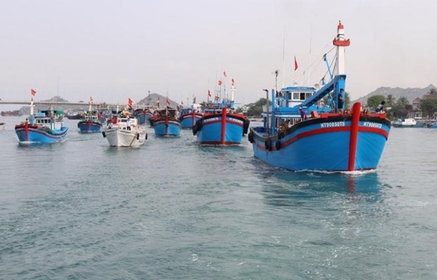 vietnam seriously implements ec recommendations in iuu fishing combat picture 1