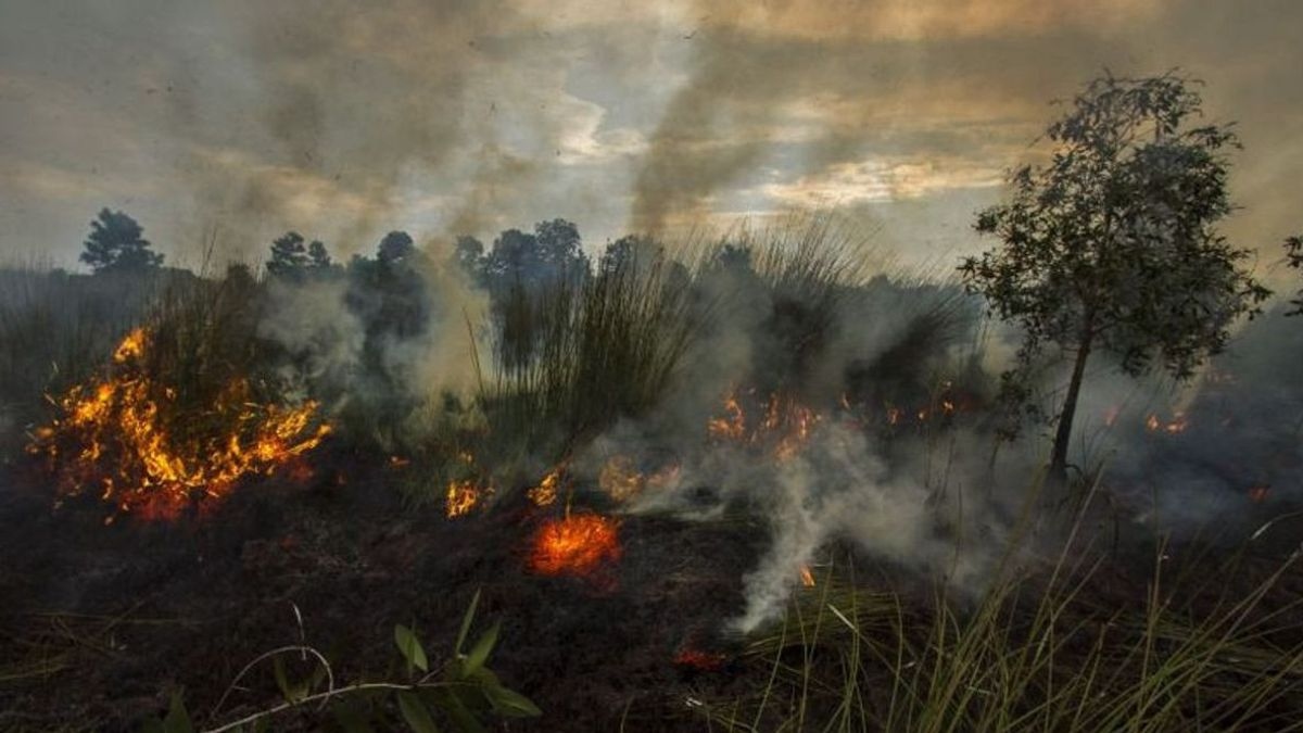 indonesia khang dinh minh bach trong giai quyet lo ngai khoi mu xuyen bien gioi hinh anh 1