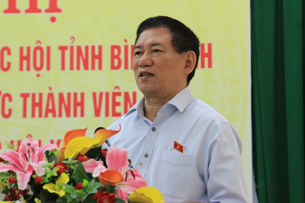 Dai bieu quoc hoi thanh pho Da nang, tinh binh Dinh tiep xuc cu tri hinh anh 4