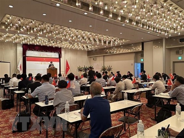 seminar talks vietnam-japan labour cooperation potential picture 1