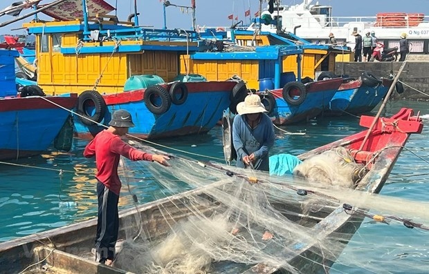 tien giang working to handle shortcomings in iuu fishing picture 1