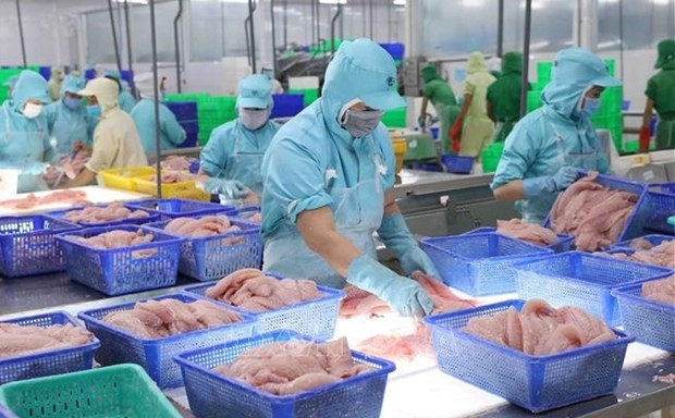 seafood exports bustle again in year-end period picture 1