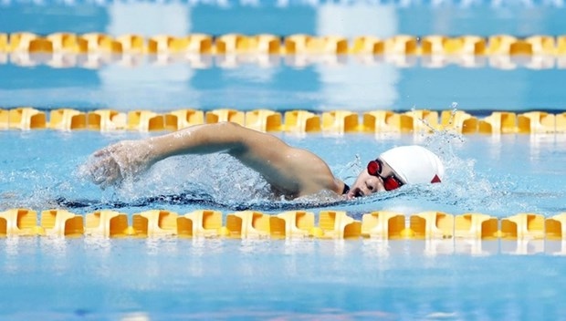 asian para games 2023 another silver for vietnam in swimming picture 1 asian para games 2023 another silver for vietnam in swimming picture 1