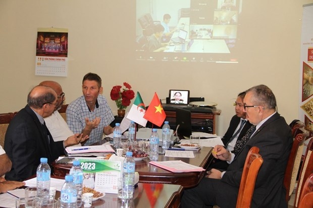 vietnamese, algerian companies explore partnership chances picture 1