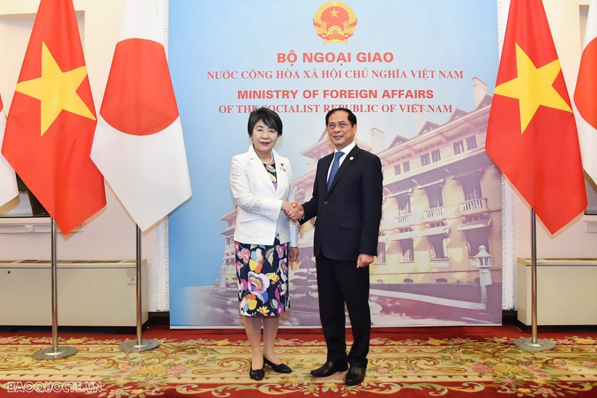 vietnam and japan sketch out plans to increase strategic cooperation picture 1