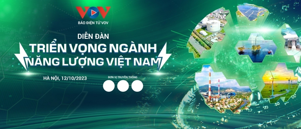 vov online hosts forum on prospects of vietnamese energy industry picture 1
