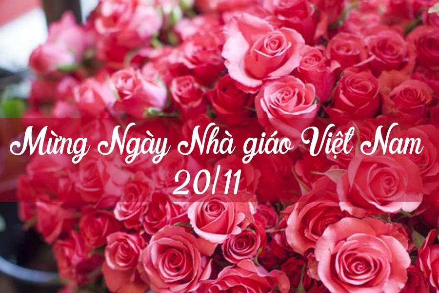 Hình ảnh Ngày Nhà Giáo Việt Nam 20 Tháng 11 PNG , Ngày Thầy Cô, Việt Nam,  20 Tháng Mười Một PNG và Vector với nền trong suốt để tải xuống miễn phí