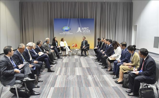 vietnam and peru vow to strengthen all-round cooperation picture 1