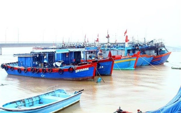 quang binh intensifies measures against iuu fishing picture 1
