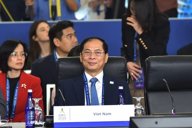 vietnam proposes three priorities at 34th apec ministerial meeting picture 1