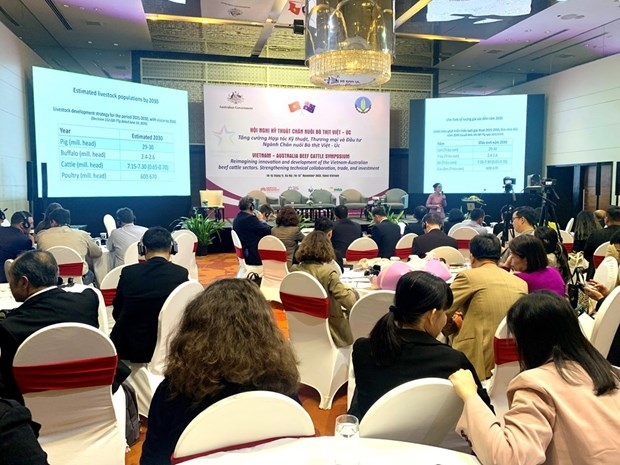 symposium highlights vietnam-australia cooperation on cattle raising picture 1 symposium highlights vietnam-australia cooperation on cattle raising picture 1