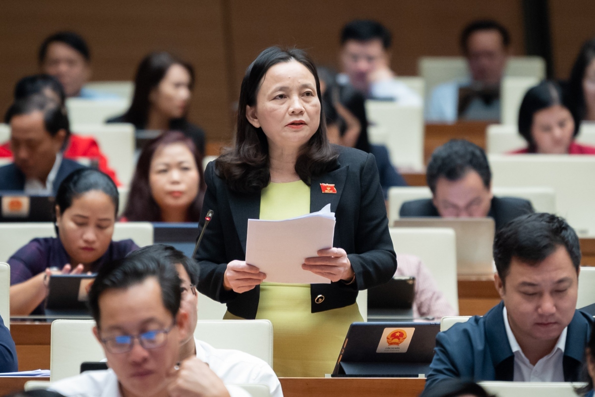 Dai bieu quoc hoi yeu cau bao ve nguoi to cao de khong bi tra thu, tru dap hinh anh 1