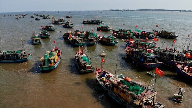 thương lái tấp nập mua bán ở chợ cá giao hải, nam Định từ sáng tinh mơ hình ảnh 11 thuong lai tap nap mua ban o cho ca giao hai, nam Dinh tu sang tinh mo hinh anh 11