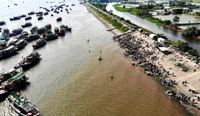 thương lái tấp nập mua bán ở chợ cá giao hải, nam Định từ sáng tinh mơ hình ảnh 1 thuong lai tap nap mua ban o cho ca giao hai, nam Dinh tu sang tinh mo hinh anh 1