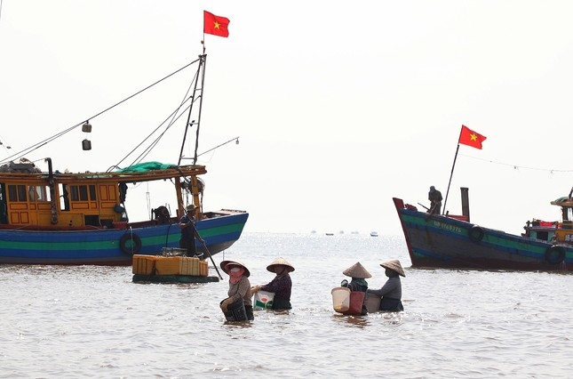 thương lái tấp nập mua bán ở chợ cá giao hải, nam Định từ sáng tinh mơ hình ảnh 2 thuong lai tap nap mua ban o cho ca giao hai, nam Dinh tu sang tinh mo hinh anh 2