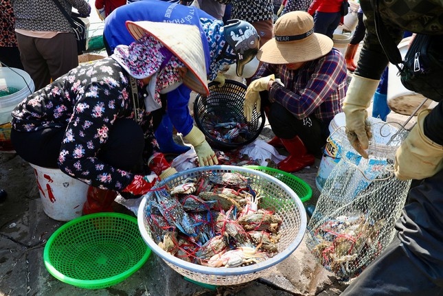 thương lái tấp nập mua bán ở chợ cá giao hải, nam Định từ sáng tinh mơ hình ảnh 5 thuong lai tap nap mua ban o cho ca giao hai, nam Dinh tu sang tinh mo hinh anh 5