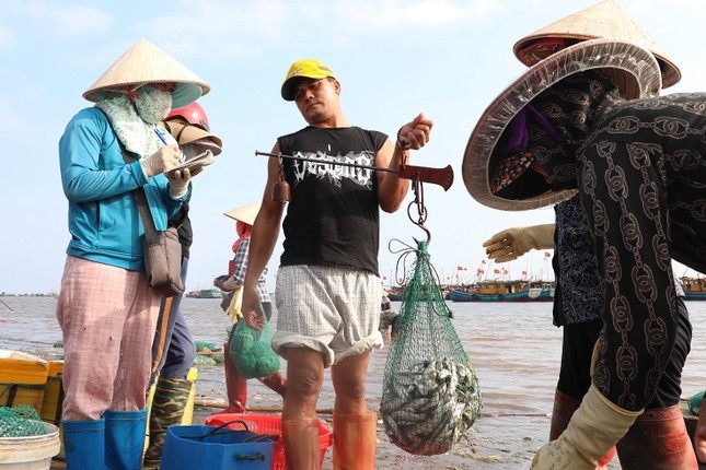thương lái tấp nập mua bán ở chợ cá giao hải, nam Định từ sáng tinh mơ hình ảnh 7 thuong lai tap nap mua ban o cho ca giao hai, nam Dinh tu sang tinh mo hinh anh 7