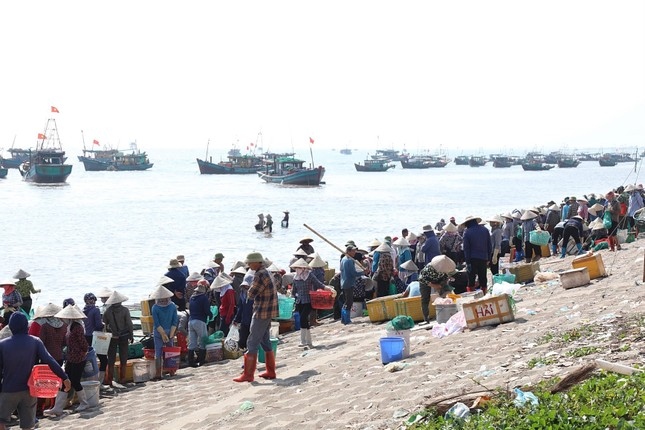 thương lái tấp nập mua bán ở chợ cá giao hải, nam Định từ sáng tinh mơ hình ảnh 8 thuong lai tap nap mua ban o cho ca giao hai, nam Dinh tu sang tinh mo hinh anh 8