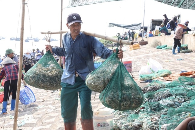 thương lái tấp nập mua bán ở chợ cá giao hải, nam Định từ sáng tinh mơ hình ảnh 9 thuong lai tap nap mua ban o cho ca giao hai, nam Dinh tu sang tinh mo hinh anh 9