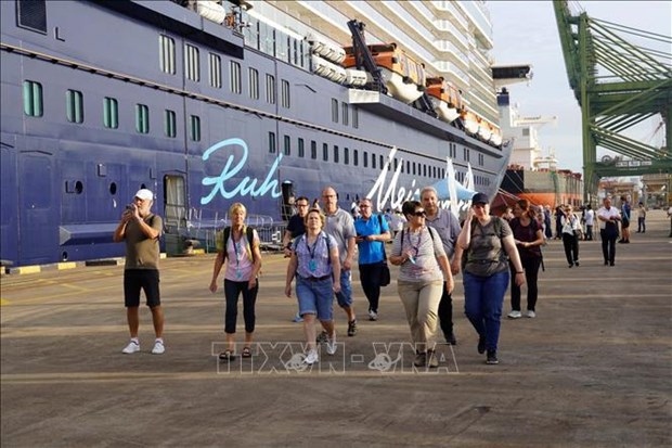 vietnam taps potential to develop cruise tourism picture 1