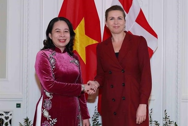 vietnam, denmark outlines orientations for deepening all-around partnership picture 1