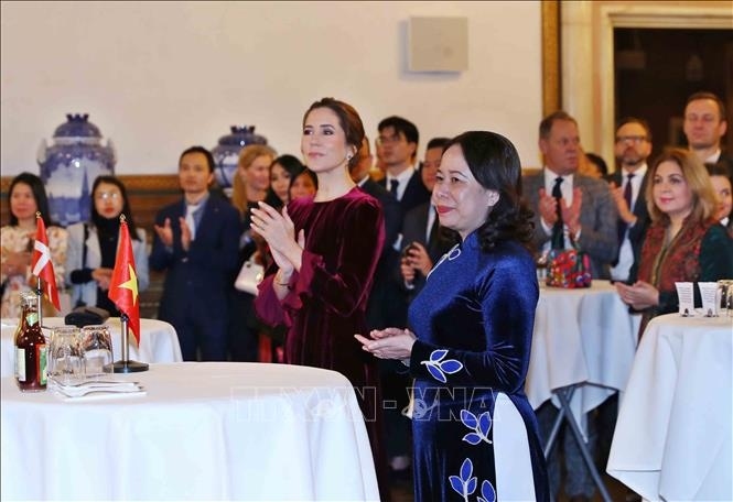 ceremony marks 10th anniversary of vietnam-denmark comprehensive partnership picture 3