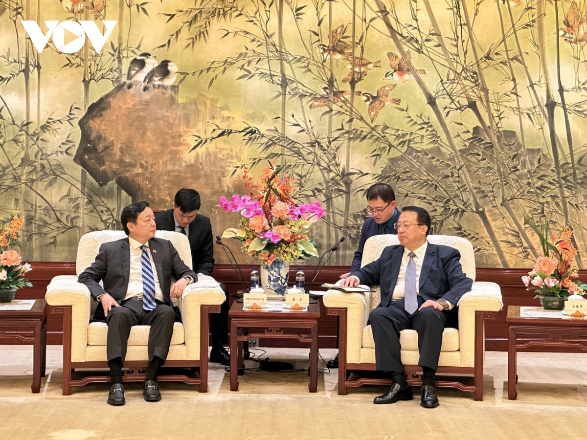 promoting cooperation between vietnamese and chinese localities picture 2