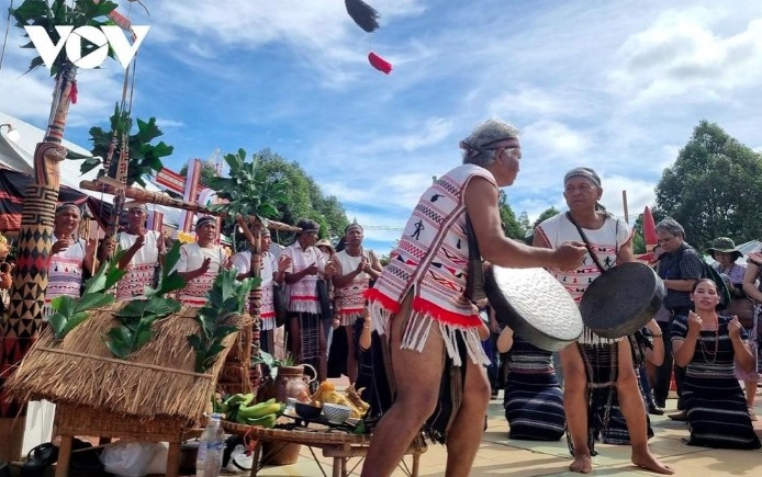 festival honouring central highlands cultural values excites crowds picture 4