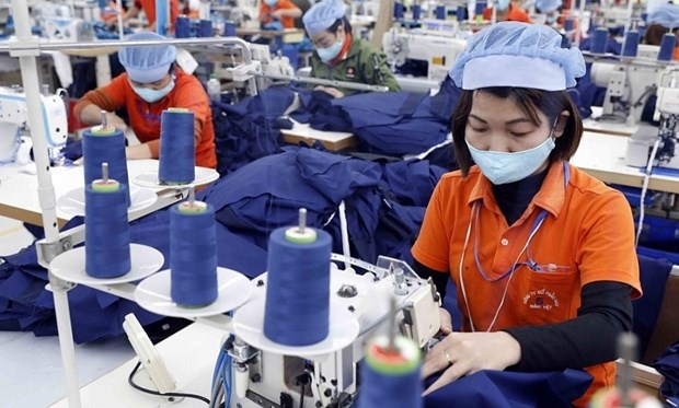 vietnam targets us 44 billion in textile, apparel export turnover in 2024 vitas picture 1