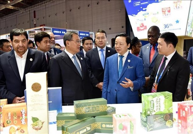 vietnam attends 2023 china international import expo picture 1