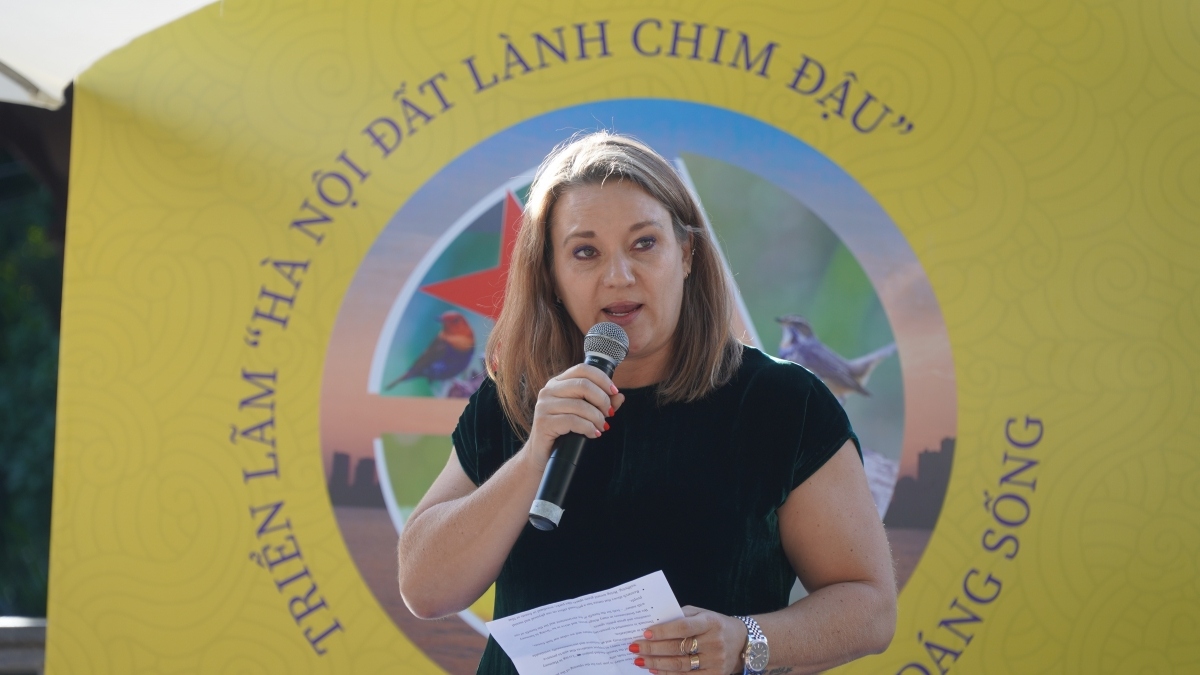 trien lam anh ha noi dat lanh chim dau hinh anh 4