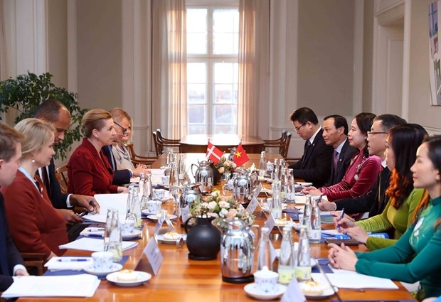 vietnam, denmark outlines orientations for deepening all-around partnership picture 2