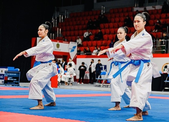 vietnam wins gold at asian karate championships picture 1