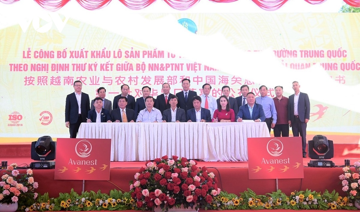 vietnam officially exports first batch of bird s nests to china picture 1