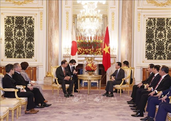 president vo van thuong hosts leaders of japanese parties, parliamentarians picture 3