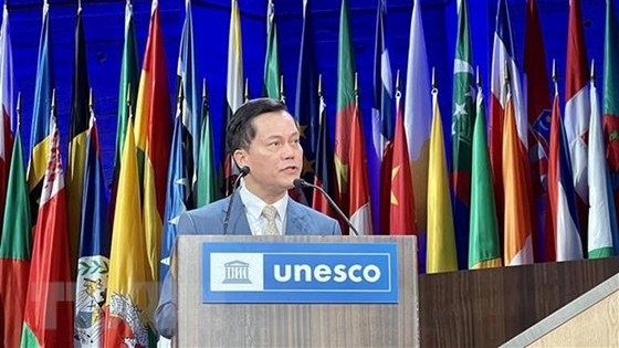 vietnam elected as vice president of unesco general conference picture 1