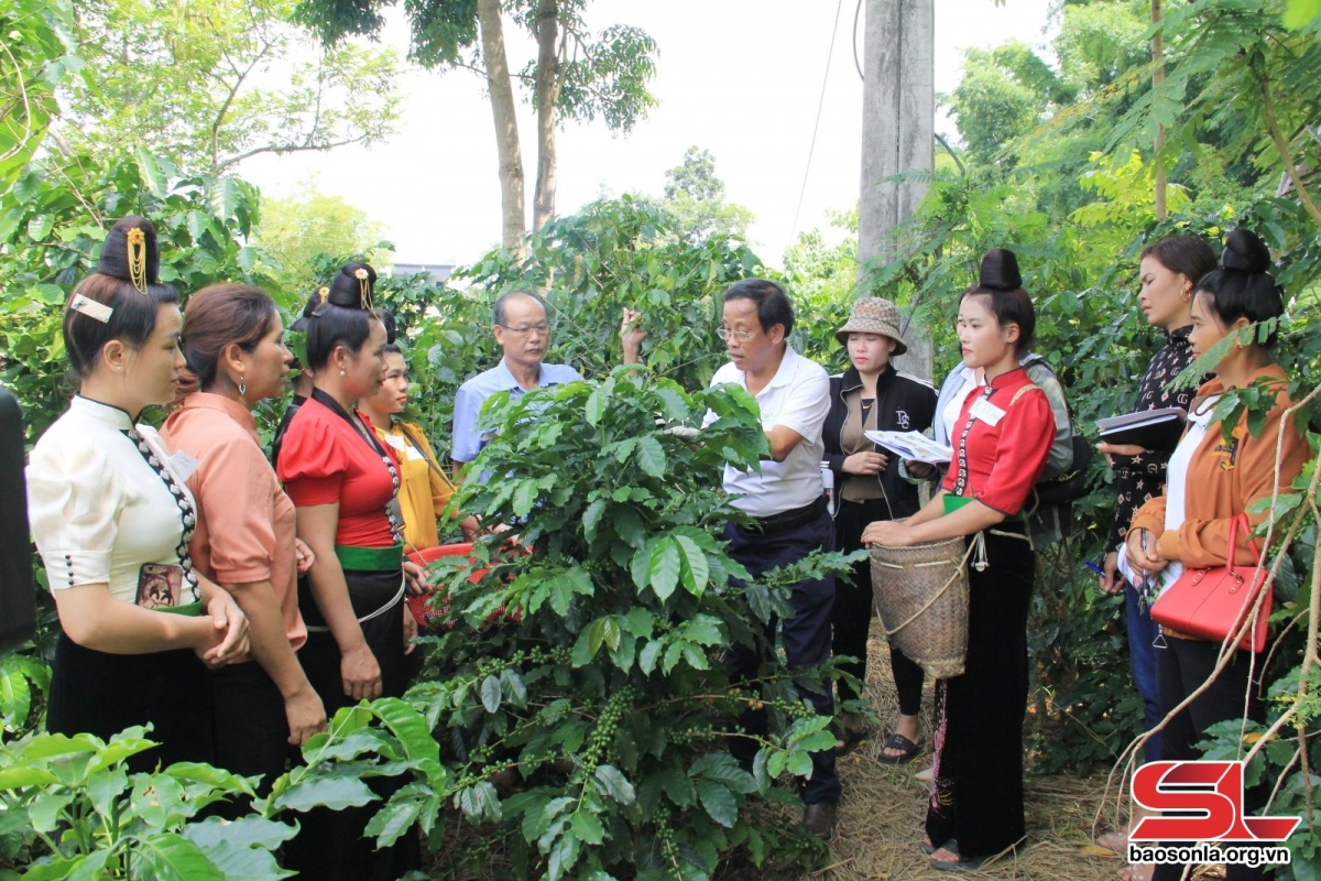 giai bai toan nang cao nang luc quan ly, to chuc san xuat hinh anh 1