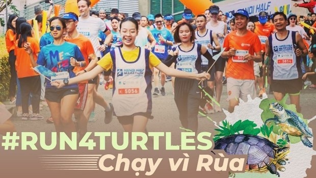running event slated for december to protect endangered turtles picture 1