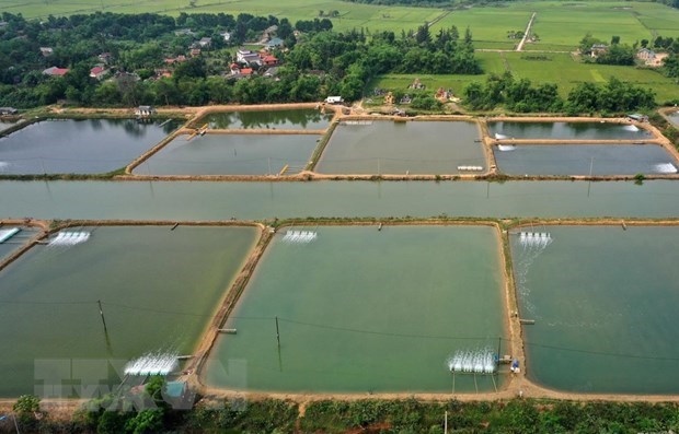 new solutions reduce ghg emissions from shrimp ponds research picture 1