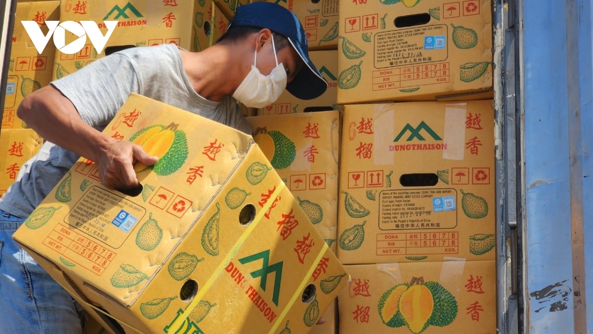 durian exports bring in more than us 2 billion to vietnam picture 1